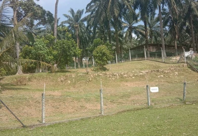 [TANAH TEPI JALAN UTAMA] Tanah Dusun, Sungai Timun, Linggi