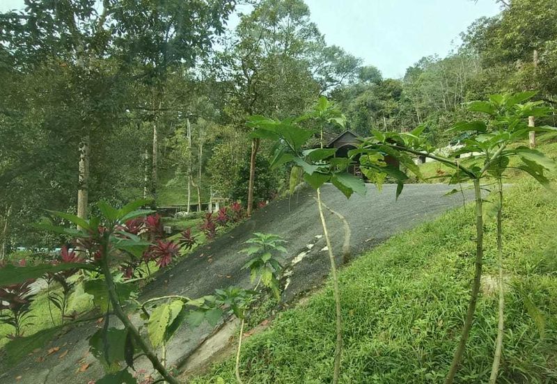 [ TANAH RESORT CANTIK ] di Ulu Klawang Jelebu