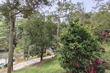 [ TANAH RESORT CANTIK ] di Ulu Klawang Jelebu