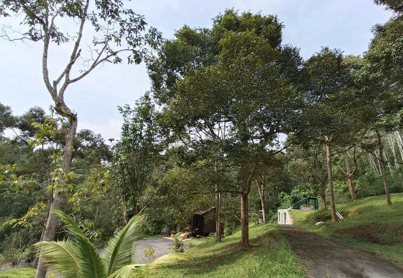 [ TANAH RESORT CANTIK ] di Ulu Klawang Jelebu