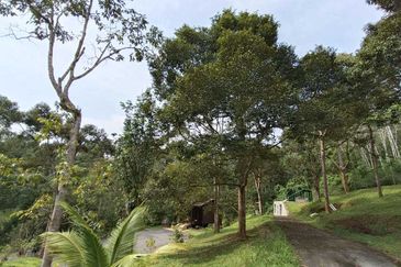 [ TANAH RESORT CANTIK ] di Ulu Klawang Jelebu