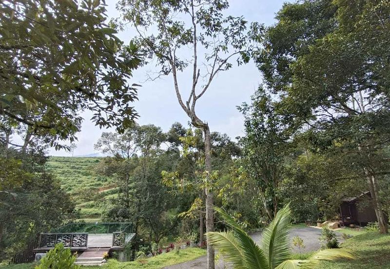 [ TANAH RESORT CANTIK ] di Ulu Klawang Jelebu