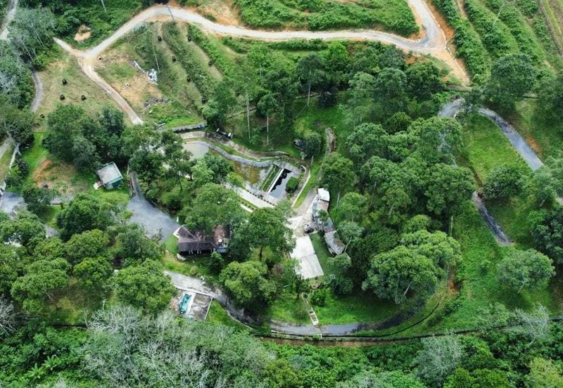 [ TANAH RESORT CANTIK ] di Ulu Klawang Jelebu