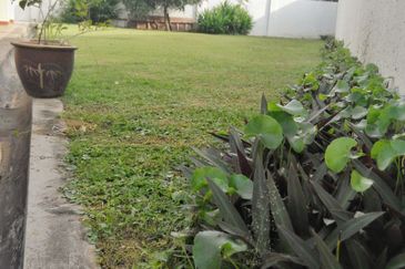 Seksyen 5, Kota Damansara