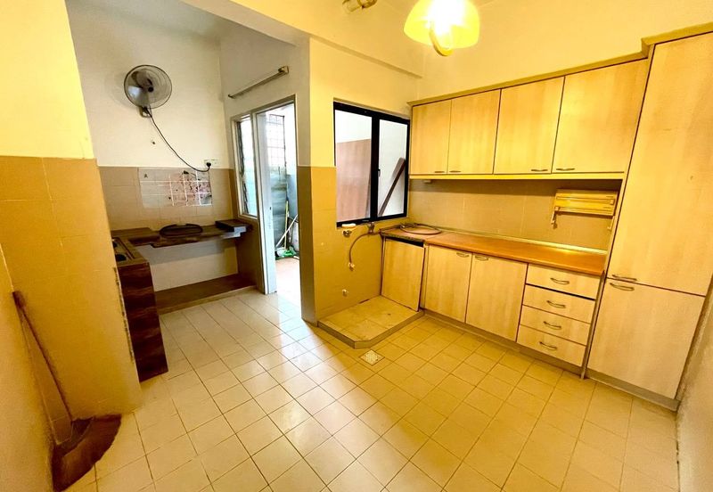 Evergreen Park Acorn and Hazel