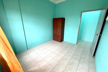 Evergreen Park Acorn and Hazel