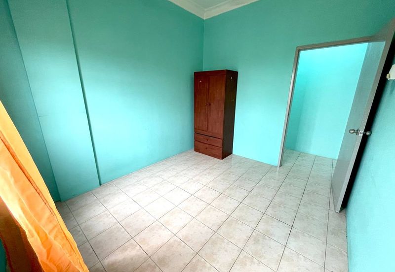 Evergreen Park Acorn and Hazel