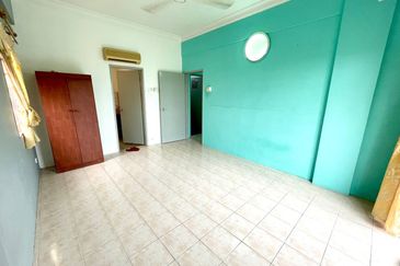 Evergreen Park Acorn and Hazel