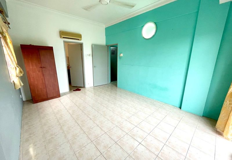 Evergreen Park Acorn and Hazel