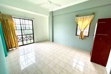 Evergreen Park Acorn and Hazel