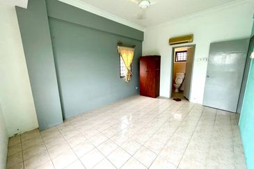 Evergreen Park Acorn and Hazel