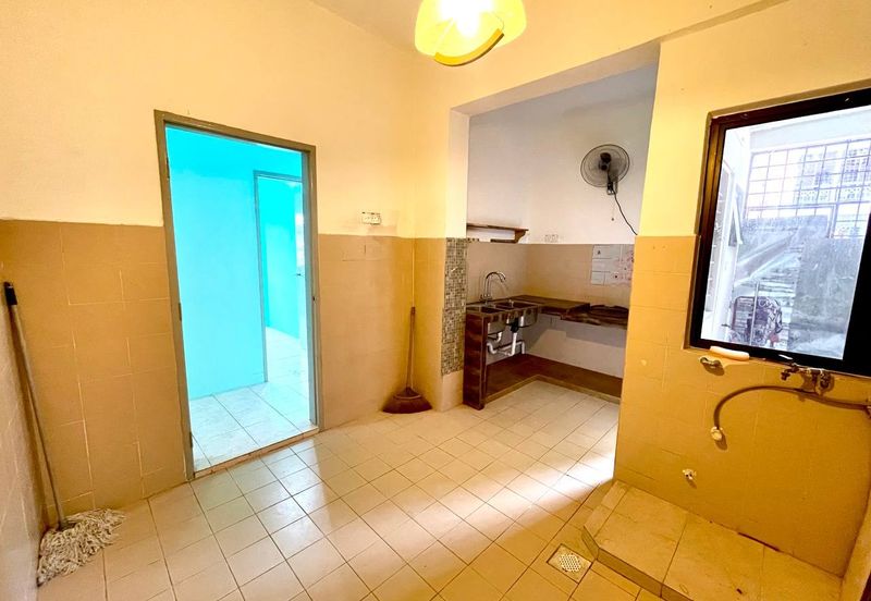 Evergreen Park Acorn and Hazel