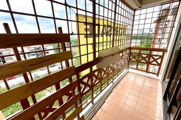 Evergreen Park Acorn and Hazel