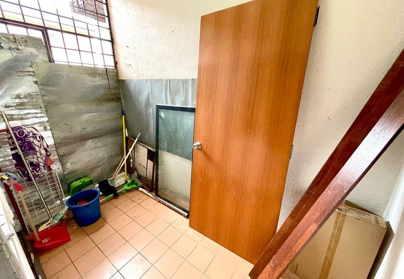 Evergreen Park Acorn and Hazel