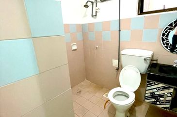 Evergreen Park Acorn and Hazel