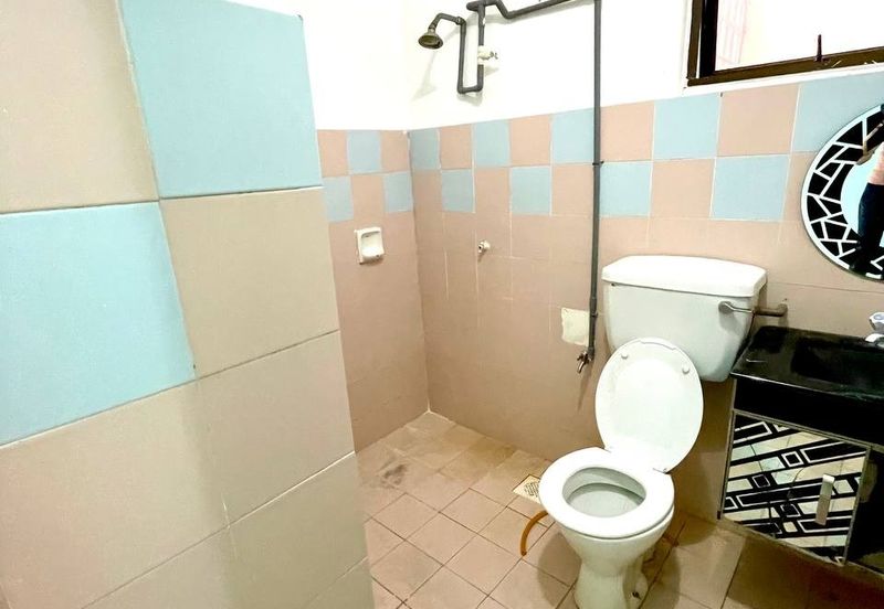 Evergreen Park Acorn and Hazel