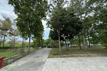 Tenderfields @ Eco Majestic