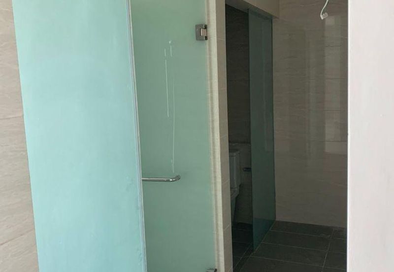 Cyperus @ Tropicana Gardens