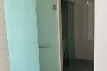 Cyperus @ Tropicana Gardens