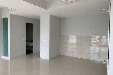 Cyperus @ Tropicana Gardens