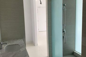 Cyperus @ Tropicana Gardens