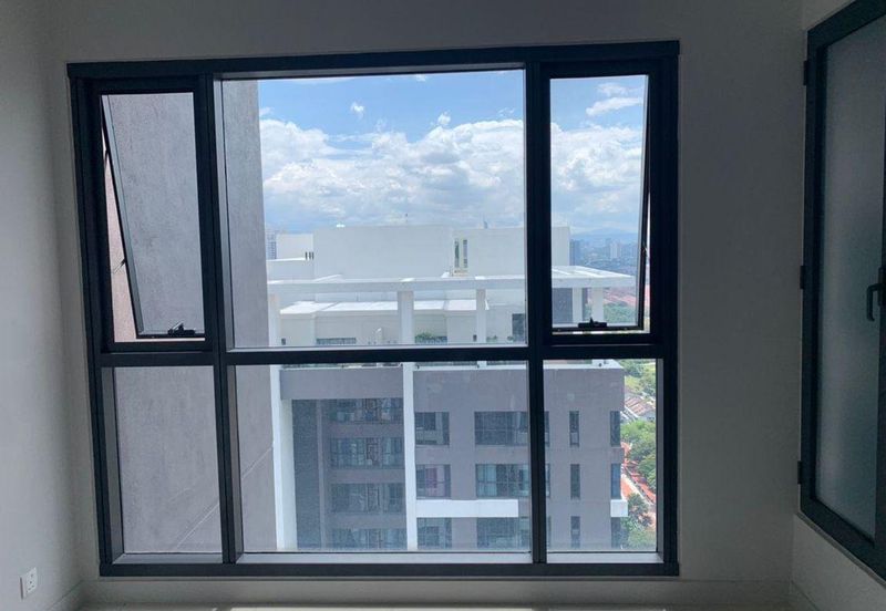 Cyperus @ Tropicana Gardens