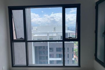 Cyperus @ Tropicana Gardens