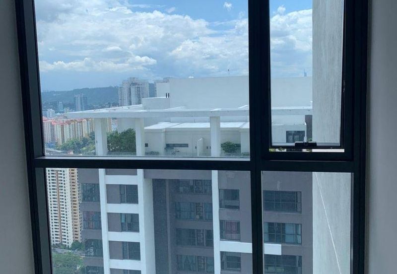 Cyperus @ Tropicana Gardens