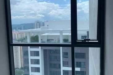 Cyperus @ Tropicana Gardens