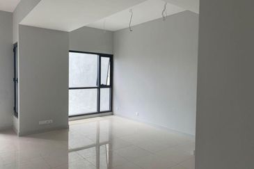 Cyperus @ Tropicana Gardens