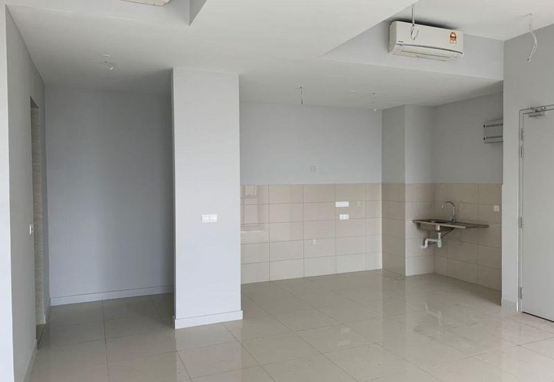 Cyperus @ Tropicana Gardens