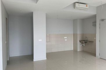 Cyperus @ Tropicana Gardens