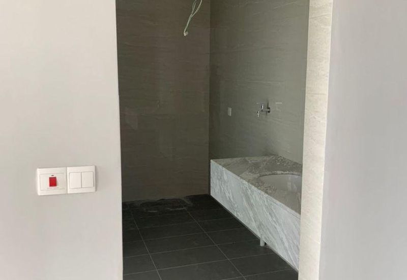 Cyperus @ Tropicana Gardens