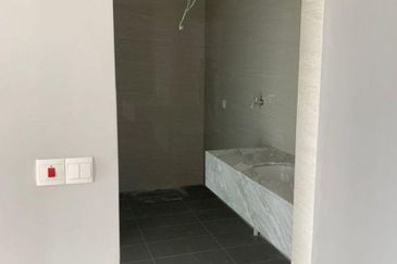 Cyperus @ Tropicana Gardens