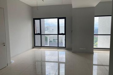 Cyperus @ Tropicana Gardens