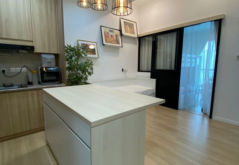 Cyperus @ Tropicana Gardens