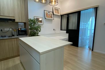 Cyperus @ Tropicana Gardens