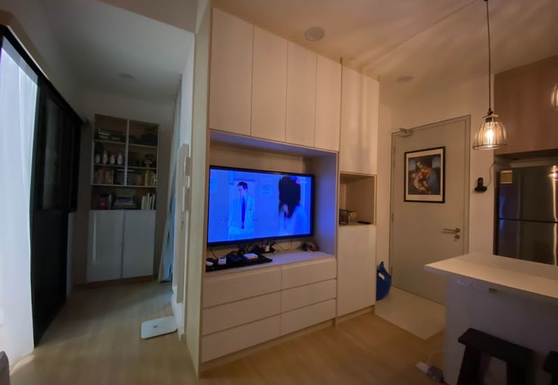 Cyperus @ Tropicana Gardens