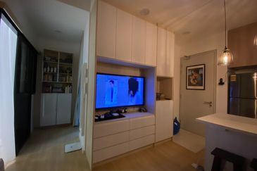 Cyperus @ Tropicana Gardens