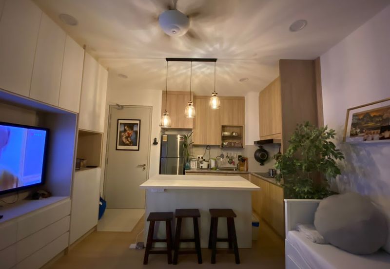 Cyperus @ Tropicana Gardens