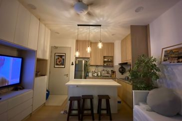 Cyperus @ Tropicana Gardens