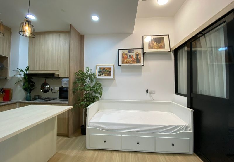 Cyperus @ Tropicana Gardens