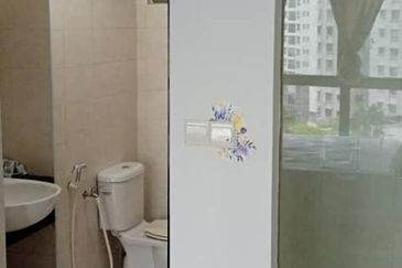 Tropicana City Tropics