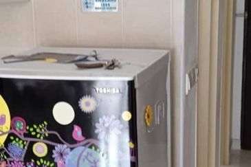 Tropicana City Tropics