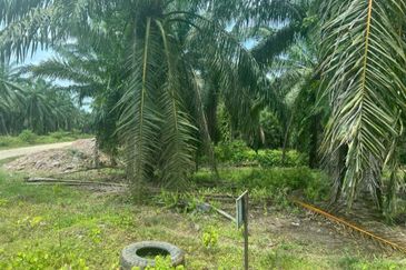 Land 78 acres Housing zone ready Banting