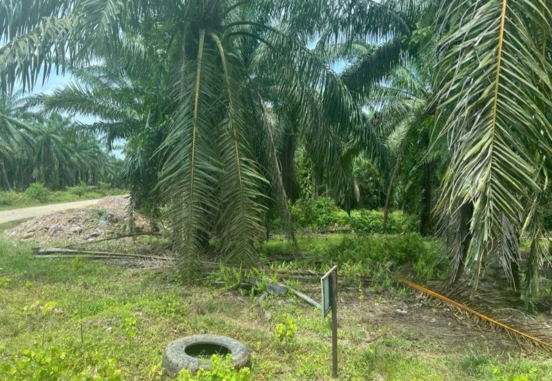 Land 78 acres Housing zone ready Banting
