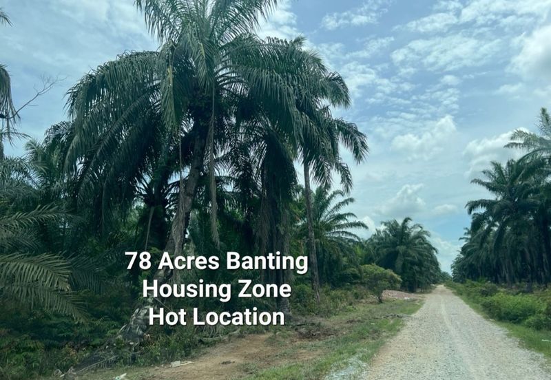 Land 78 acres Housing zone ready Banting