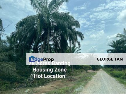 Land 78 acres Housing zone ready Banting, Selangor, Banting