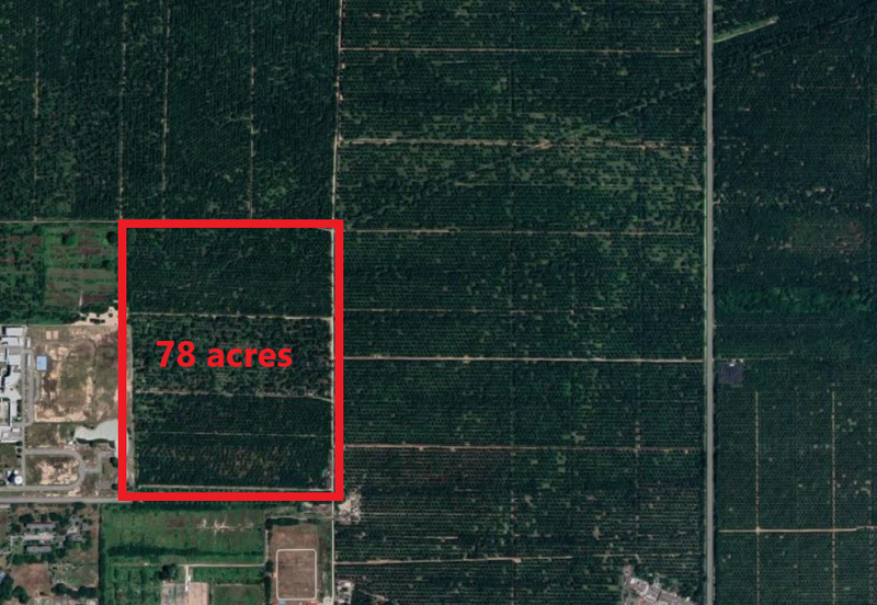Land 78 acres Housing zone ready Banting