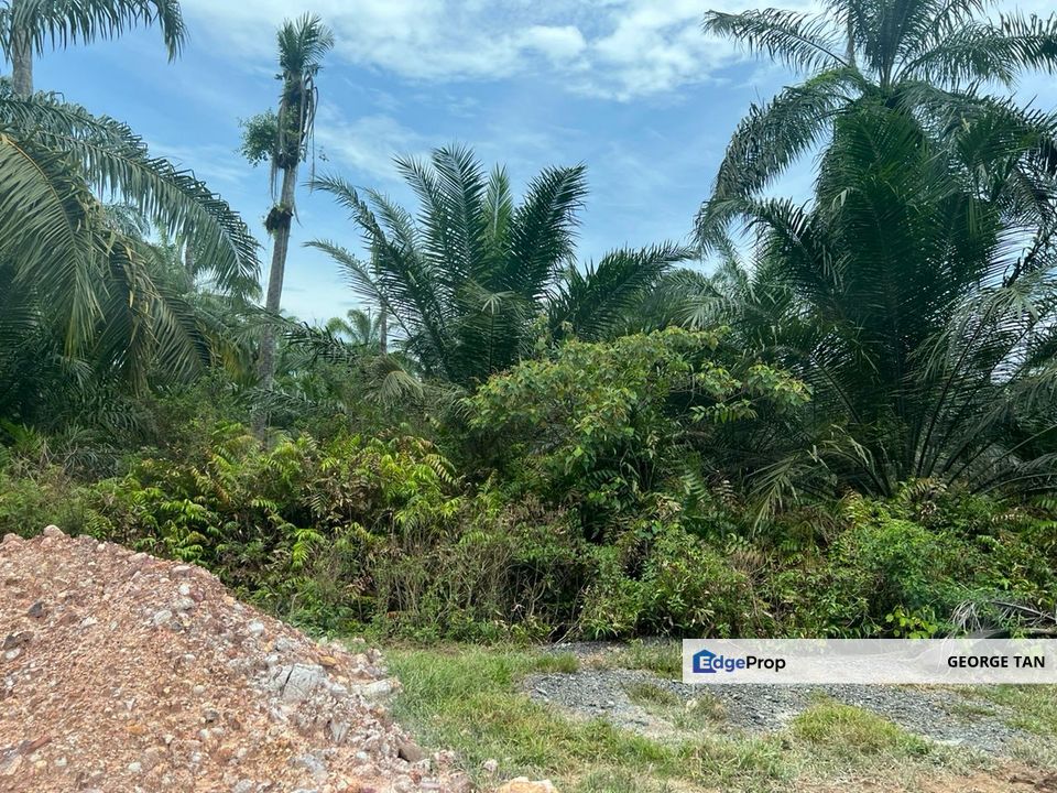 Land 78 acres Housing zone ready Banting, Selangor, Banting